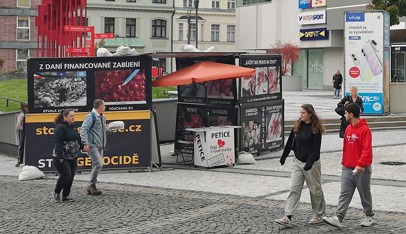 example image